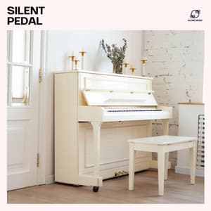 Silent Pedal: Piano Sleep Music - Relaxing Piano