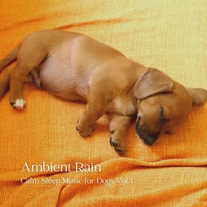 Ambient Rain: Calm Sleep Music for Dogs Vol. 1 - Rain and Chill