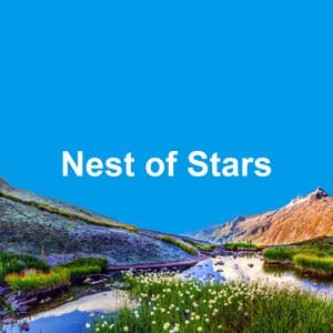 Nest of Stars - Nature Sounds Artists