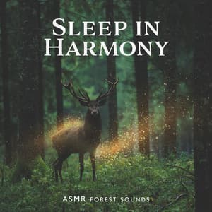 Sleep in Harmony: Insomnia Cure, ASMR Forest Sounds to Listen After Midnight - Stress Relief Calm Oasis