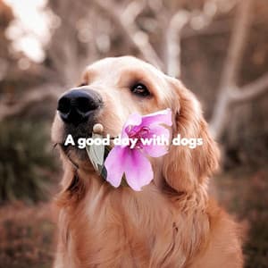 A good day with dogs - Calming Jazz For Dogs