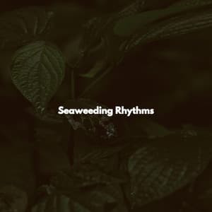 Seaweeding Rhythms - Instrumental Cafe Jazz Radio