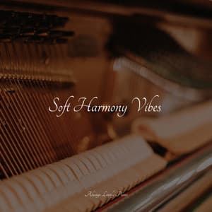 Soft Harmony Vibes - Yoga Piano Music