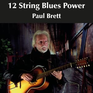 12 String Blues Power - Paul Brett
