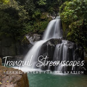 Tranquil Streamscapes: Serene Waters for Relaxation - Water Way