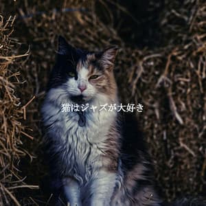 猫はジャズが大好き - Calming Instrumental Jazz Ambiance