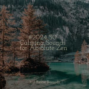 #2024 50 Calming Sounds for Absolute Zen - Smart Baby Lullaby