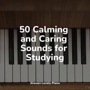 The Creative and Soothing Piano - Piano Masters