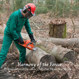 Harmony of the Forest: Insects and Cicadas Chill Out Music for Work - Forest Crickets