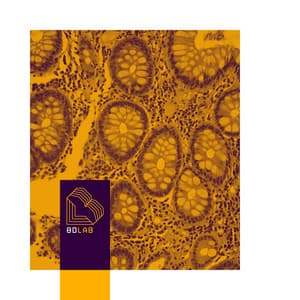 Keys of Light - 8D Lab - Piano Music