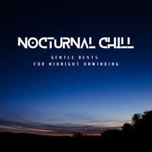 Nocturnal Chill - Gentle Beats for Midnight Unwinding - Laid Back Academy
