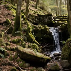 La Voz De La Naturaleza: Viaje Melódico Por El Río - Natureza Relaxante
