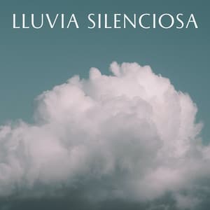 Lluvia Silenciosa - Clima Colmena
