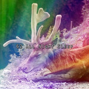 62 All Night Sleep - Baby Rest