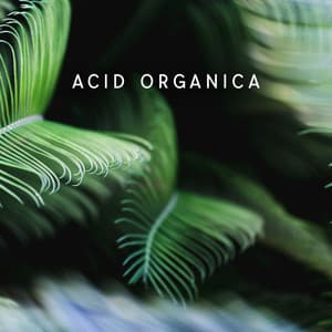 Acid Organica: Chill Psychedelic Experience, Folktronica - Chillout Sound Festival