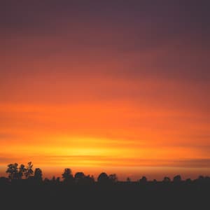 Work in Harmony: Piano Moments - Piano Genie