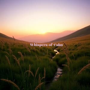Whispers of Calm - Meditation Music