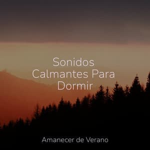 Sonidos Calmantes Para Dormir - Relaxing Spa Music