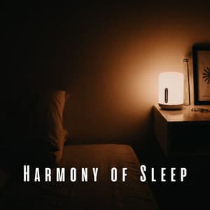 Harmony of Sleep: Dreamy Music Delights - Dark Music Specialists