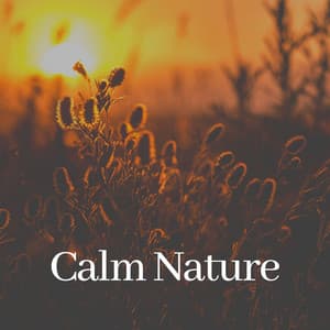 Calm Nature - Zen Garden Secrets
