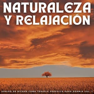 Naturaleza Y Relajación: Sonido De Bichos Como Terapia Perfecta Para Dormir Vol. 1 - Sonidos de la naturaleza báltica
