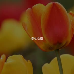 幸せな庭 - Restaurante Jazz Ritmos