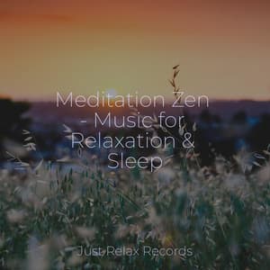 Meditation Zen - Music for Relaxation & Sleep - Sonidos De Lluvia y Tormentas