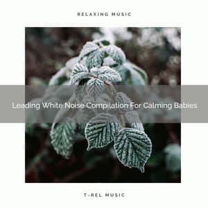 Leading White Noise Compilation For Calming Babies - Sleep Noise