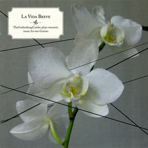 La Vida Breve - The Gothenburg Combo