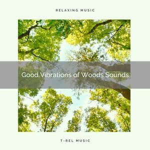 2020 Best: Good Vibrations of Woods Sounds - Sonido Del Bosque y Naturaleza