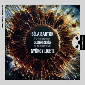 Bartók, Ligeti: From Microcosm to Macrocosm - László Borbély