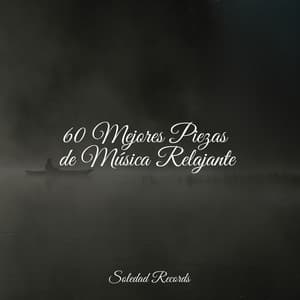 60 Mejores Piezas de Música Relajante - Piano para Relajarse