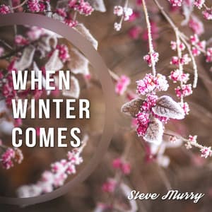 When Winter Comes - Steve Murry