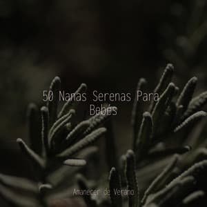 50 Nanas Serenas Para Bebés - Musica para Meditar