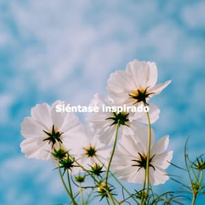 Siéntase inspirado - Musica para Restaurantes Ambiente