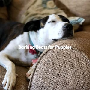 Barking Beats for Puppies - Paris Cafe Jazz