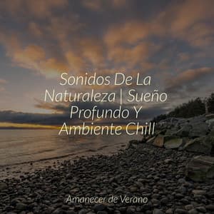 Sonidos De La Naturaleza | Sueño Profundo Y Ambiente Chill - Musica Romantica