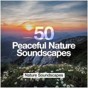 50 Peaceful Nature Soundscapes - Nature Soundscapes