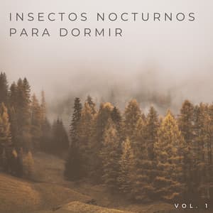 Insectos Nocturnos Para Dormir Vol. 1 - Naturaleza suena colaboración