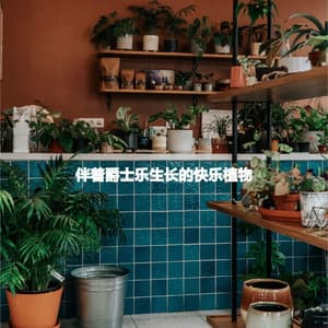 伴着爵士乐生长的快乐植物 - No Words Jazz