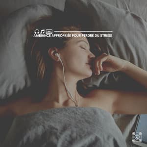 Ambiance appropriée pour perdre du stress - Musique Relaxante