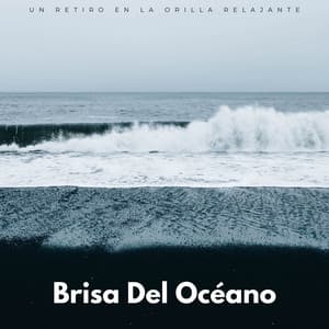 Brisa Del Océano: Un Retiro En La Orilla Relajante - Domingos por el Océano