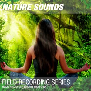 Nature Recordings - Soothing jungle creek - Nature Sounds