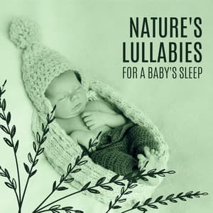 Nature's Lullabies for a Baby's Sleep: Newborn Relaxation, Toddler Sleep, Healing New Age Sounds - Baby Soft Sleep Solution