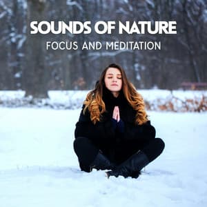 Sounds of Nature: Focus and Meditation - Peaceful Interests