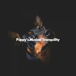 Puppy's Musical Tranquility - Lazy Sunday Jazz