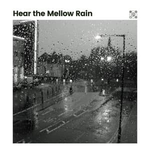 Hear the Mellow Rain - Day & Night Rain