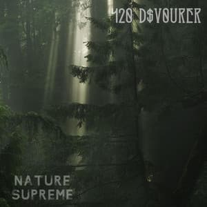 Nature Forest Rains - Nature’s Supreme
