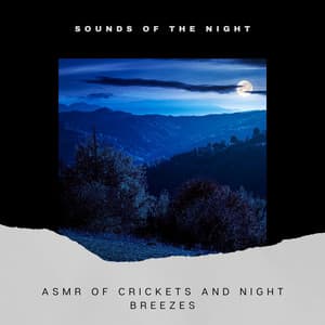 ASMR of Crickets and Night Breezes - Sounds of the Night