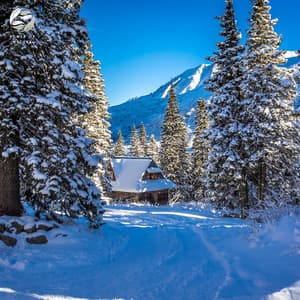Piano in the Heart of the Forest - Mystic Nature